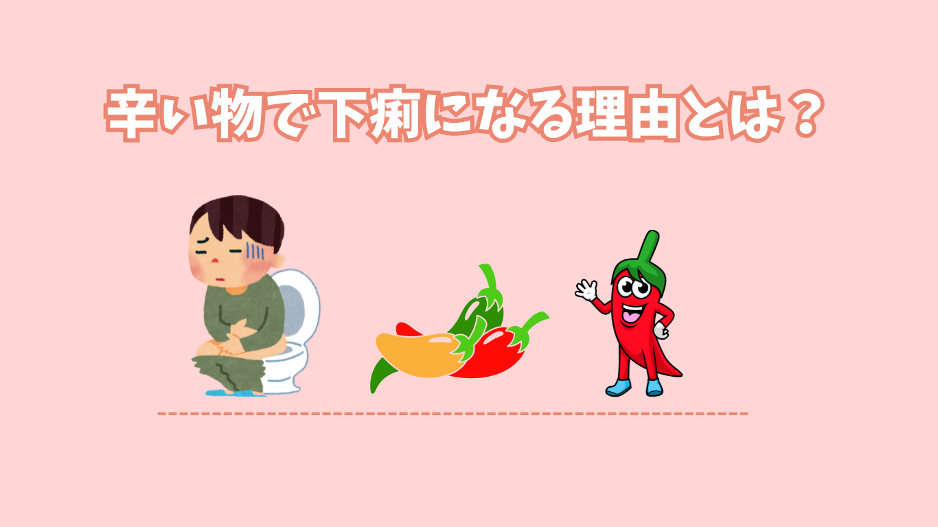辛い物で下痢になる理由とは？