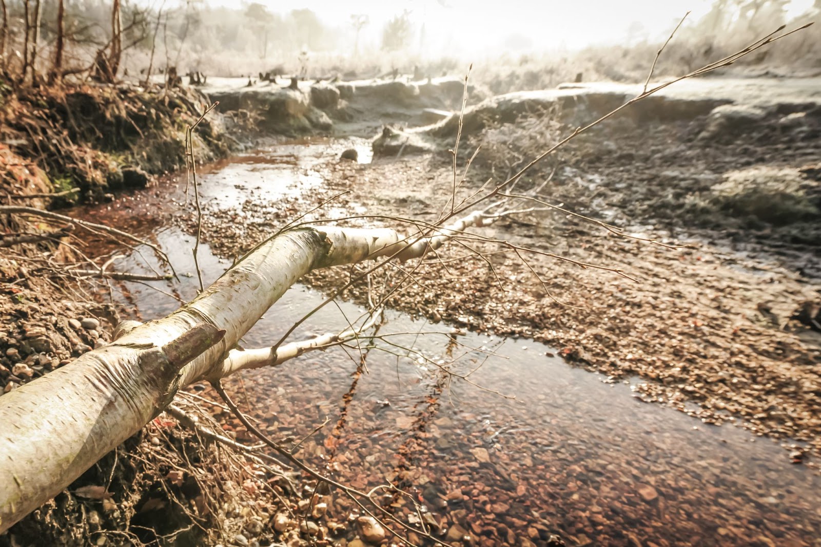 Soil Pollution and Land Contamination