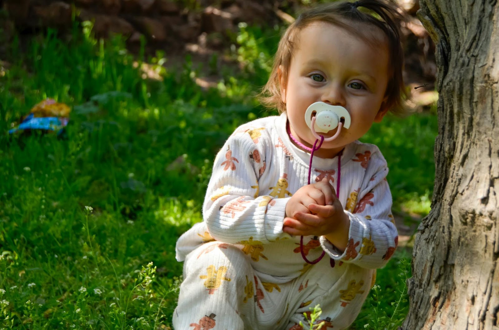 A cute baby with a pacifier crouching by a tree in a grassy park on a sunny day.