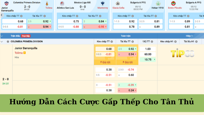 Hướng dẫn cách cược gấp thếp cho bet thủ