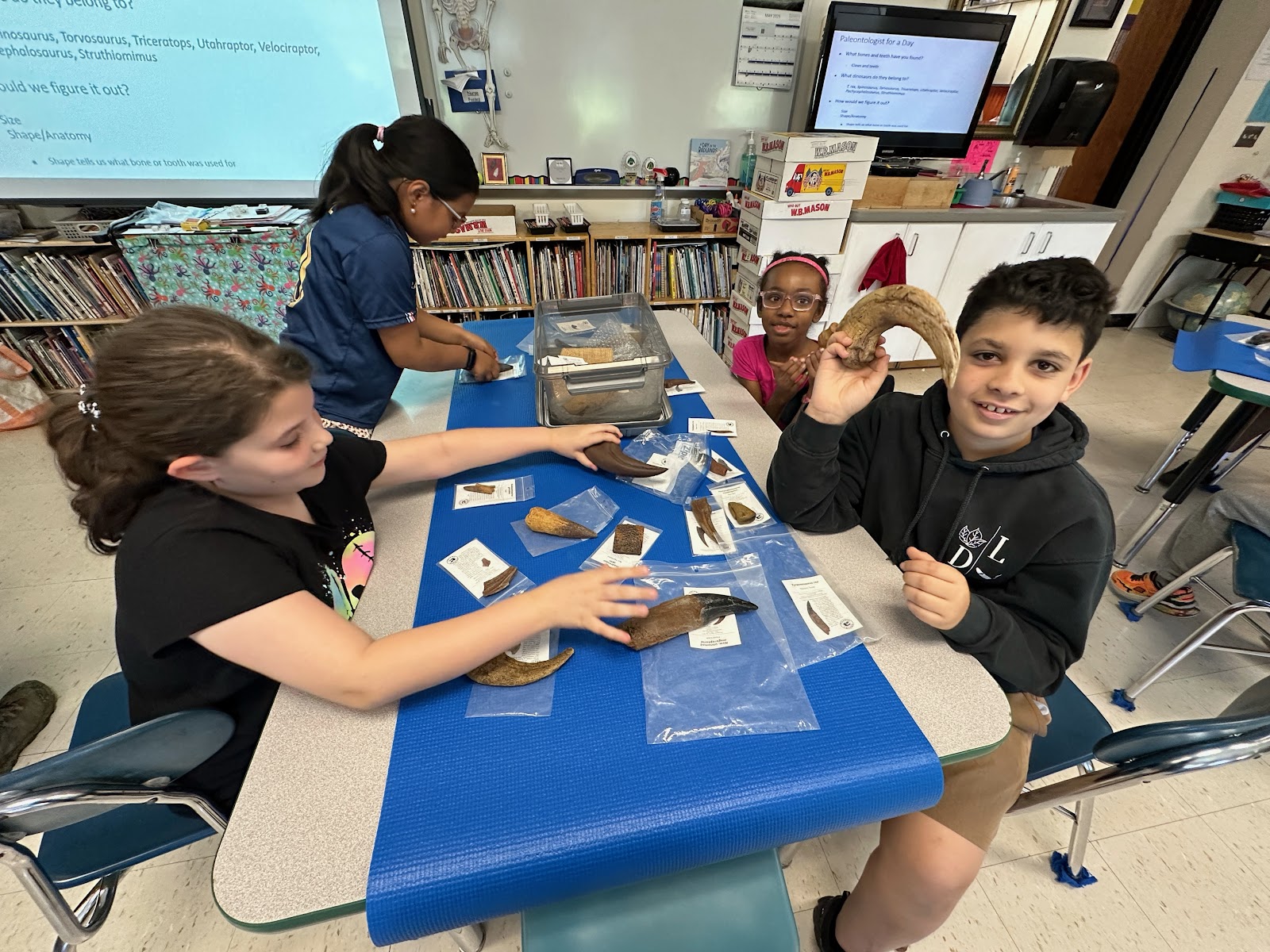 Hart students exploring various fossils