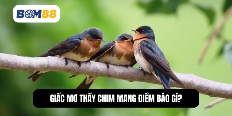 Giấc mơ thấy chim là có điềm báo gì?