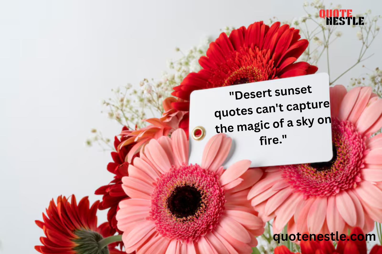 Deep Desert quotes