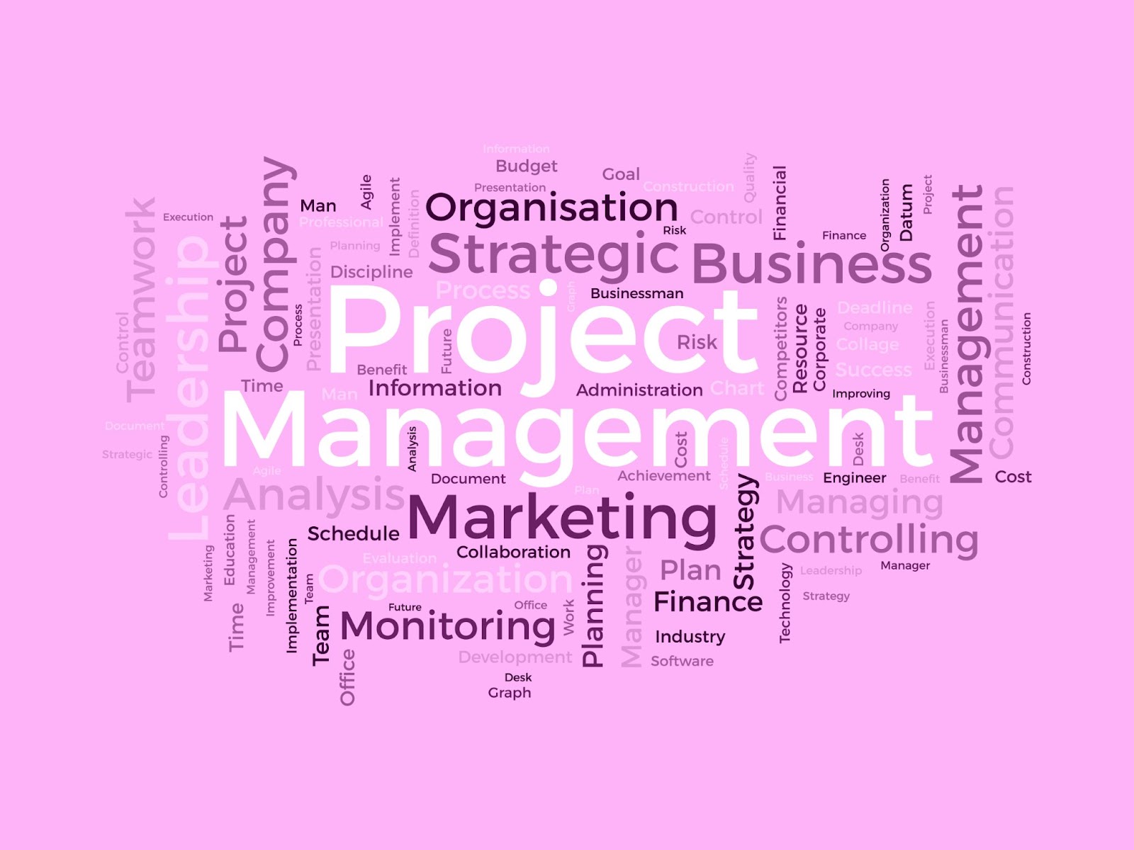 (A pink word cloud with terms related to project management. Prominent words include Project Management Software, Marketing, Organisation, Strategic, Business, Monitoring, Planning, Leadership, and Company.)
