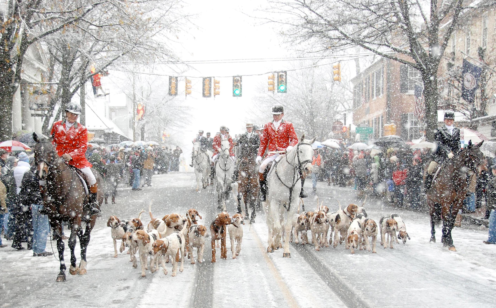 A view of the Middleburg Hunt Review, with people on horses and leading hunting dogs down the street in the snow.