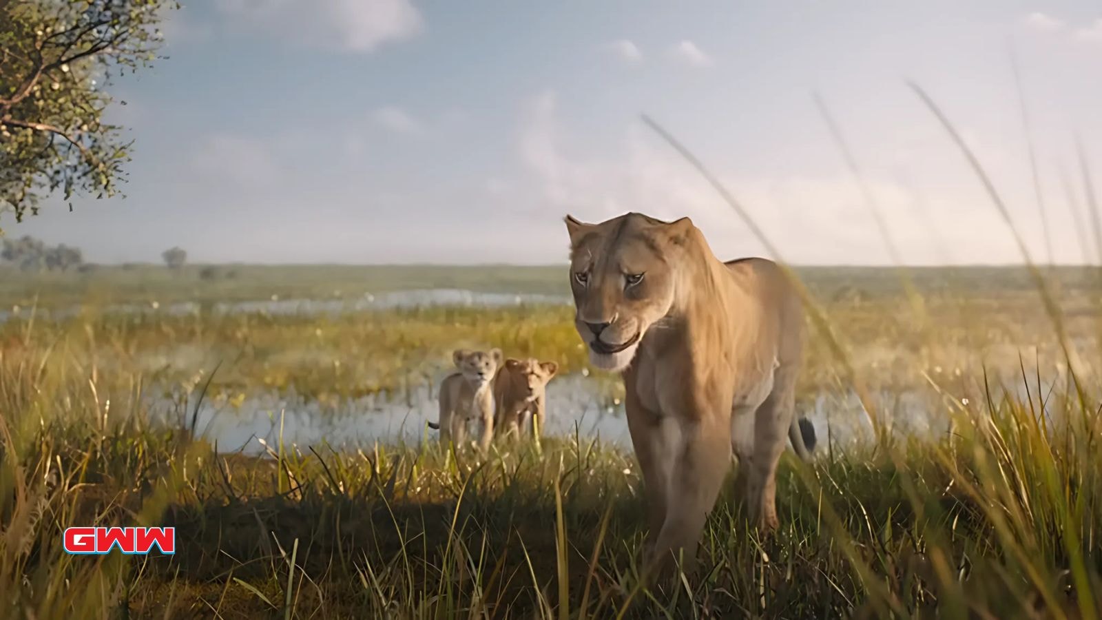 Mother lion with cubs in Mufasa the Lion King trailer scene