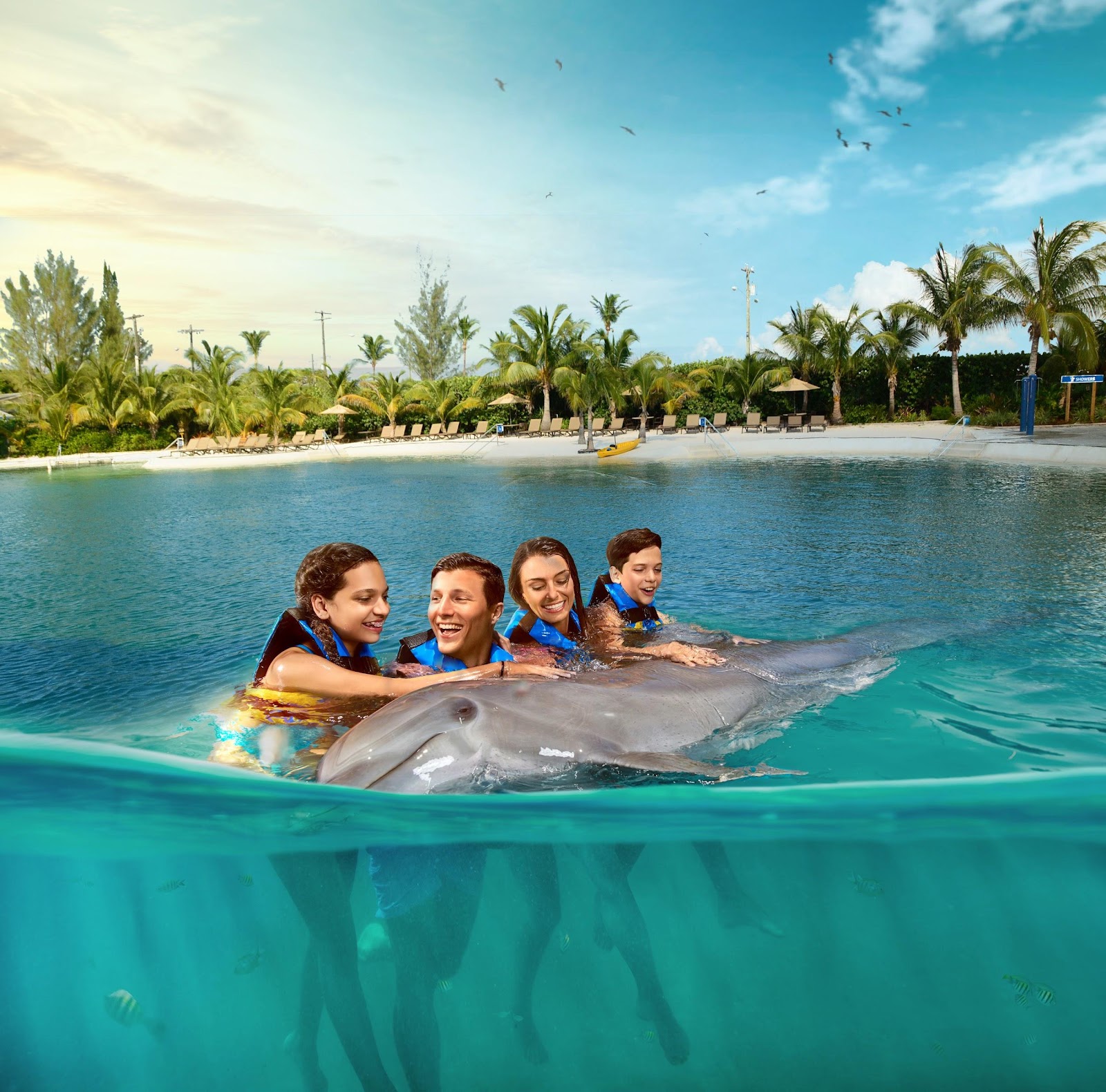Discovering Grand Cayman: Swim with Dolphins and More