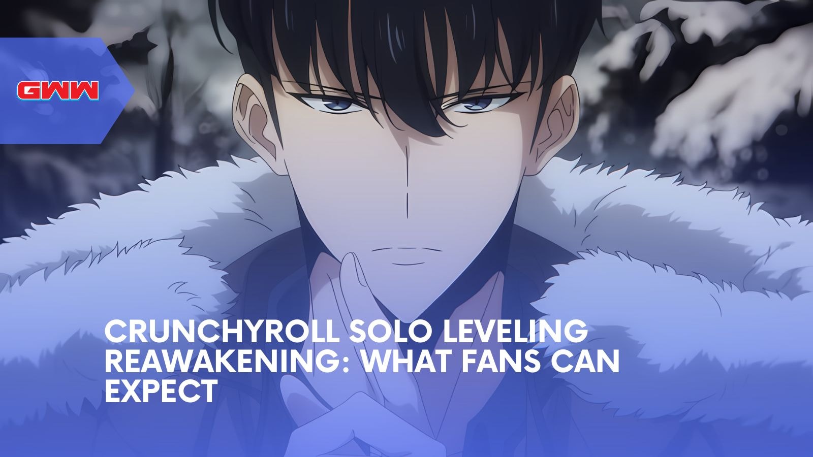 Crunchyroll Solo Leveling Reawakening: What Fans Can Expect