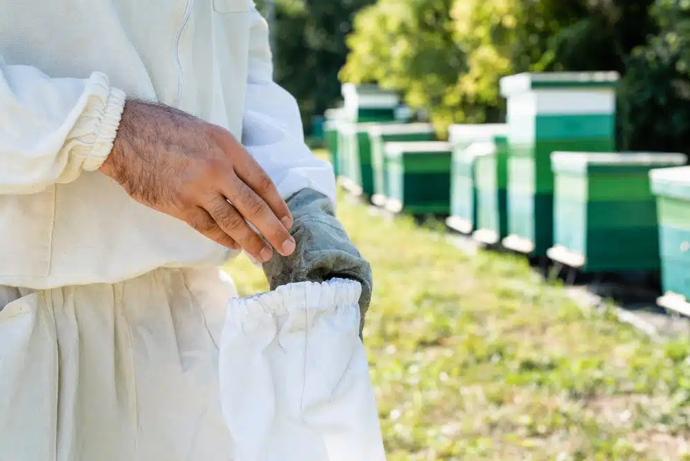 Les protections en apiculture : tout ce que vous devez savoir sur les combinaisons d'apiculteur - ÉQUIPEMENTS & MATÉRIEL