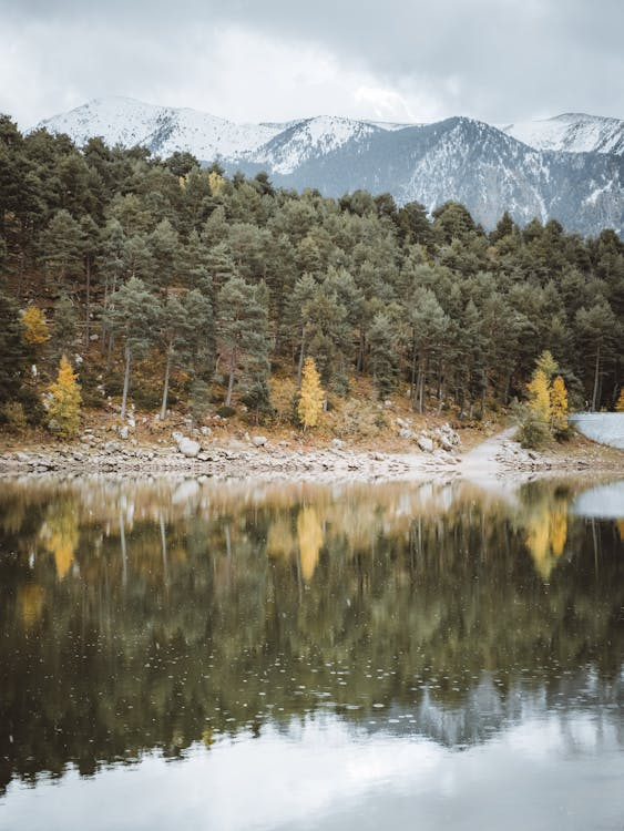 Snow-capped mountain and alpine forest reflected in the water of a lake. 