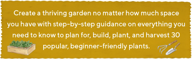 Thriving Garden Paradise Your Urban Space