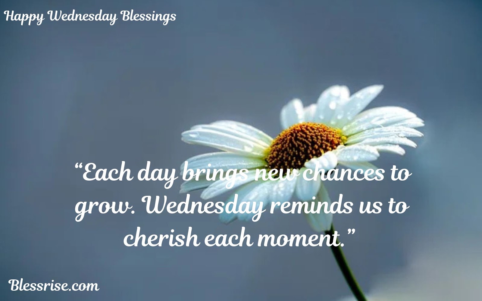 Uplifting Wednesday Quotes
