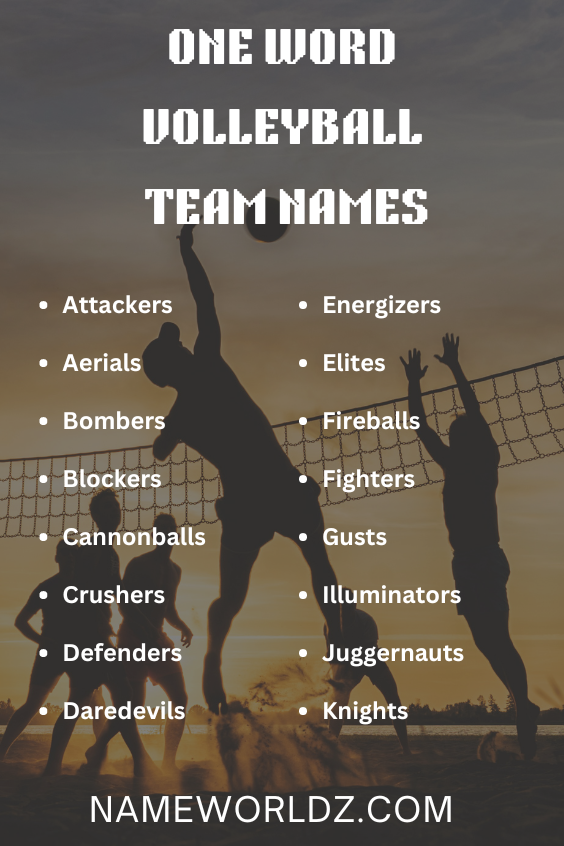 Volleyball Team Names One Word