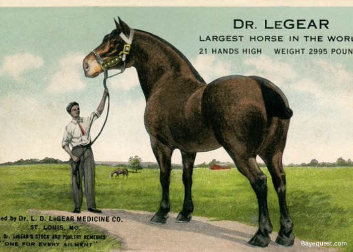 Dr. LeGear