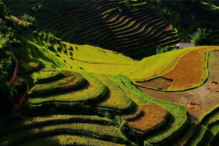 La Pan Tan stands out by its gorgeous terraced fields