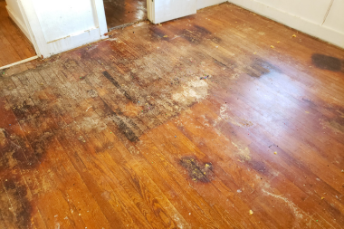 signs that you need a flooring replacement water damaged floorboards custom built michigan