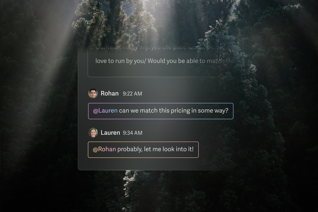 A chat interface over a forest background showing a conversation