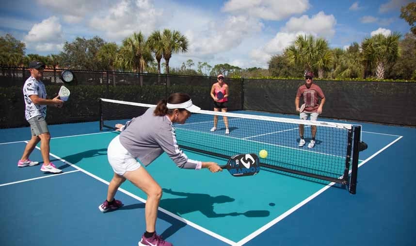 Pickleball: the popular recreational sport. 