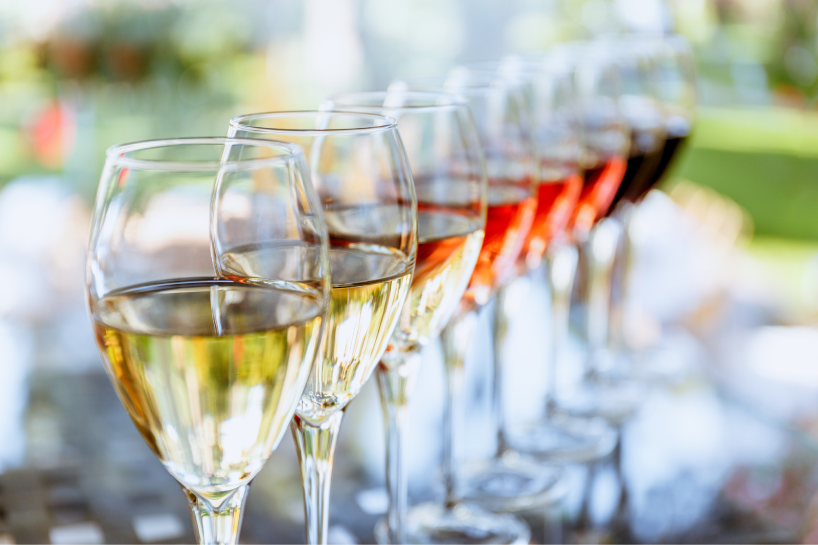 Row of wine glasses filled with white, rosé, and red wines.