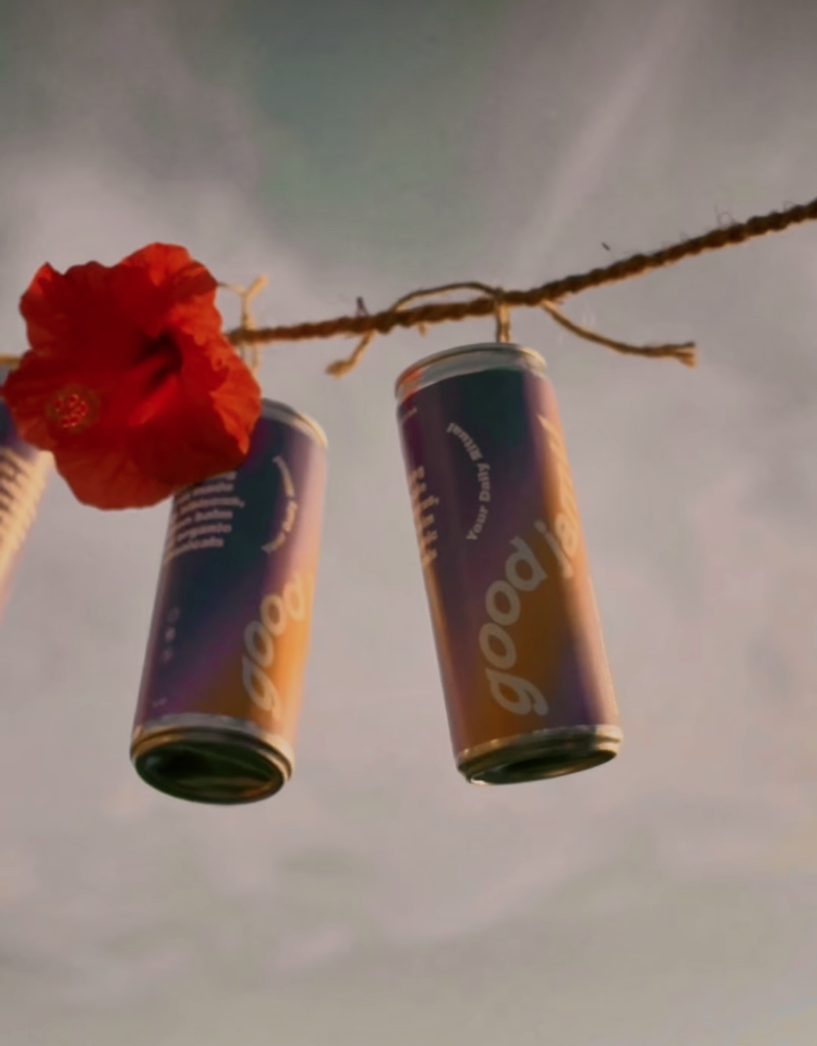 Good Jamu's Hibiscus soda hanging on a thread alongside a red hibiscus flower
