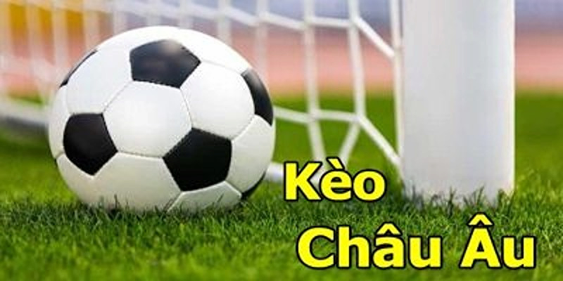 Hướng dẫn hội viên cá cược kèo châu Âu