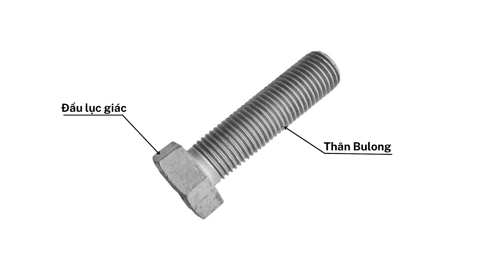 Cấu Tạo Chi Tiết Của Bulong Thép 4.8