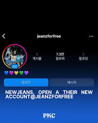 This contain an image of NewJeans'mysterious Instagram account with the username "@jeanzforfree" 