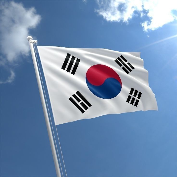 This contains an image of the korean flag.