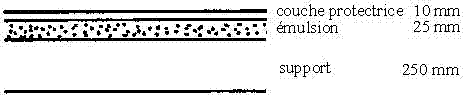 Fig1.GIF