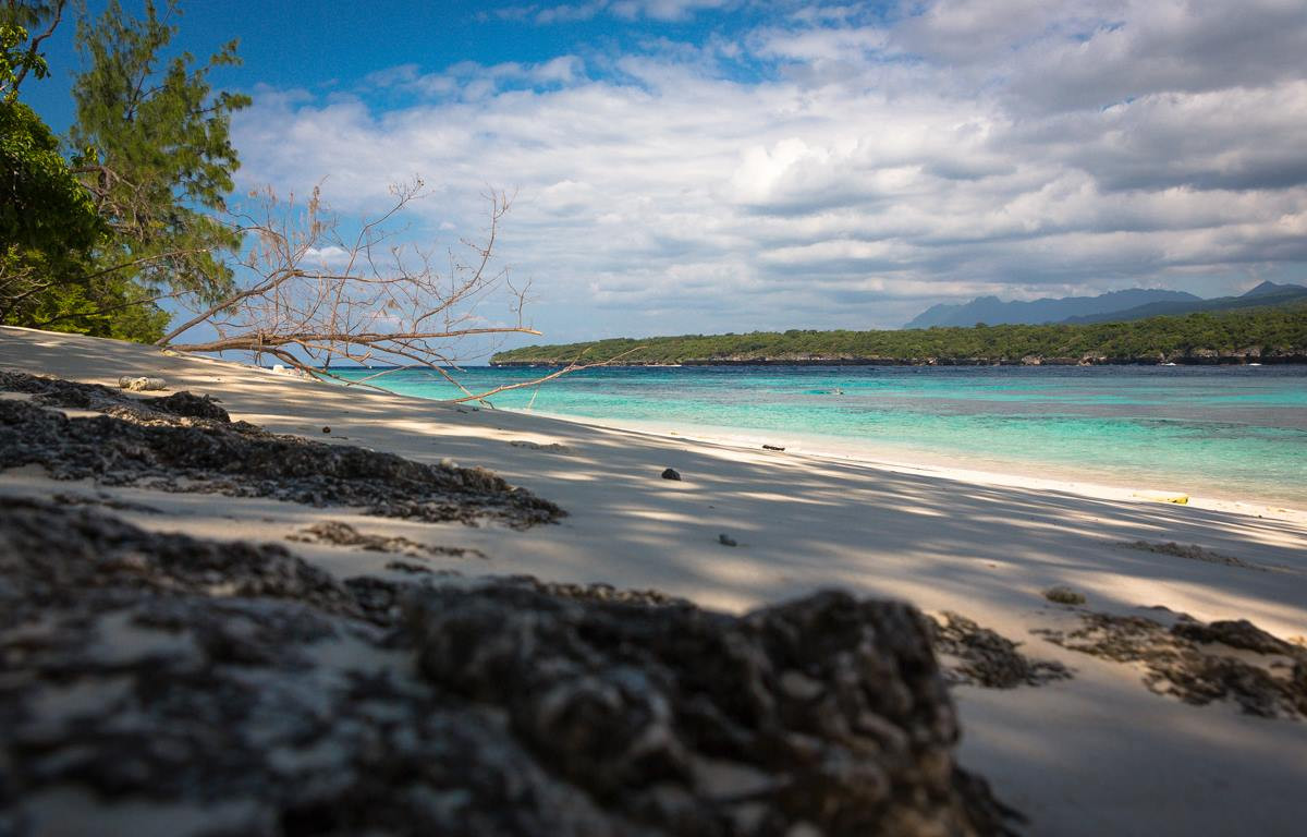 Beautiful beach, and blue sky surrounded by lush greenery.