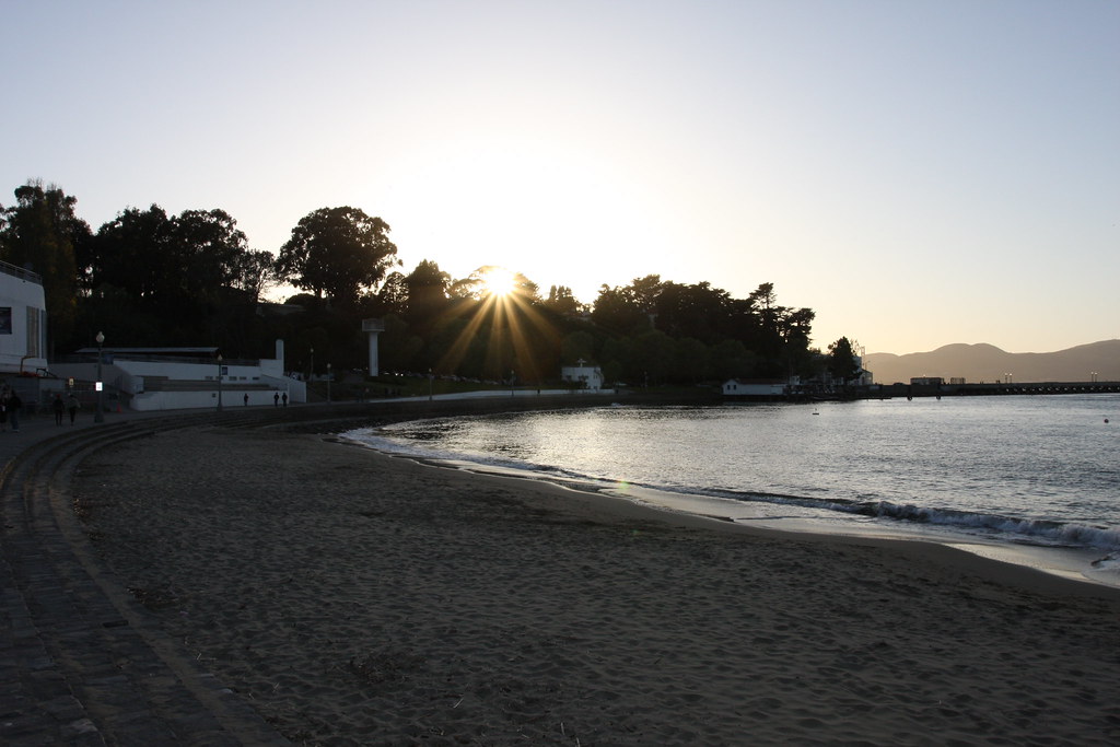 It's sunset time at the beach and water seems quite and tall trees near the beach