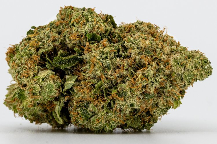 The Source cannabis dispensary in Rogers, Arkansas grows In The Flow boutique cannabis. Their first harvest of cult classic Chemmy Jones yielded results above 25% THC!