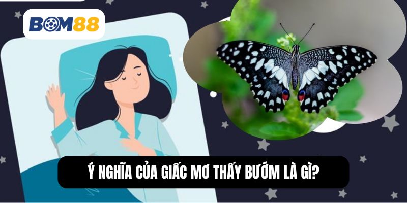 Ý nghĩa của giấc mơ thấy bướm là gì?