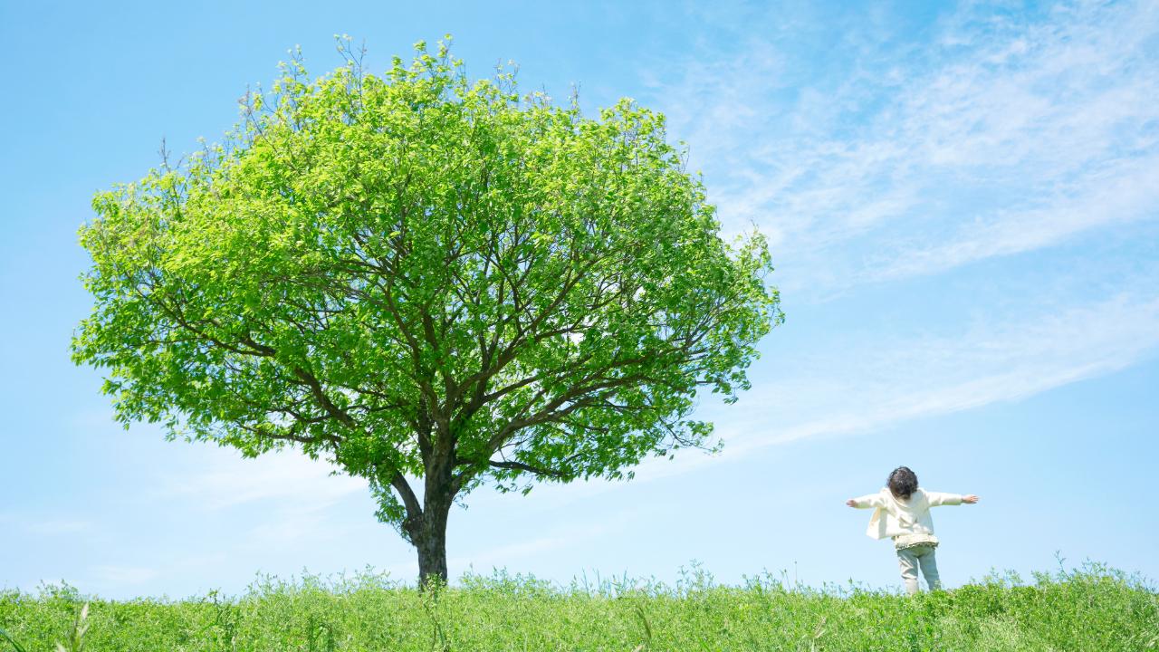 屋外, 草, 立つ, フィールド が含まれている画像

自動的に生成された説明