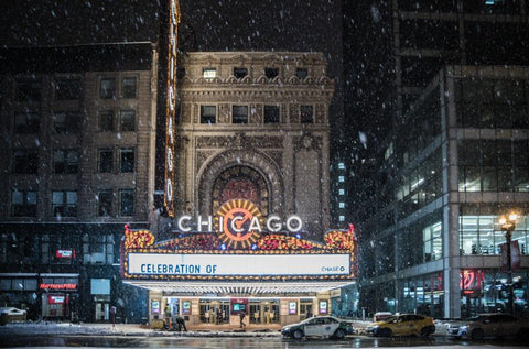 Chicago in Winter