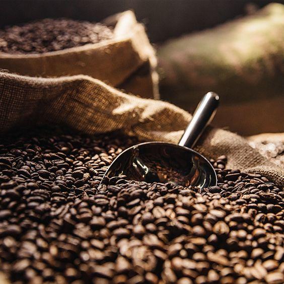 World of Coffee