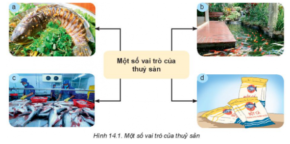 BÀI 14: GIỚI THIỆU VỀ THỦY SẢN