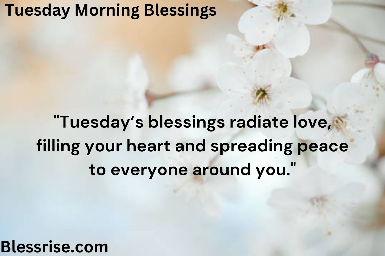  Embrace the Blessings of Tuesday