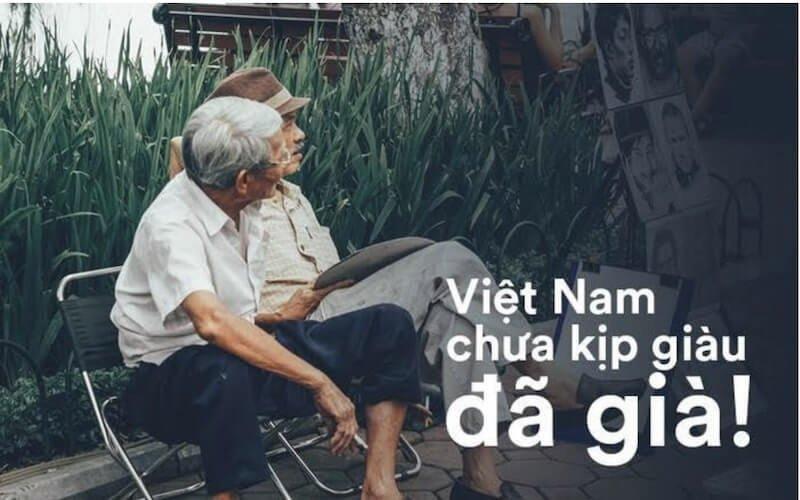 https://vietnamthoibao.org/wp-content/uploads/2024/08/Gia-hoa-dan-so.jpg