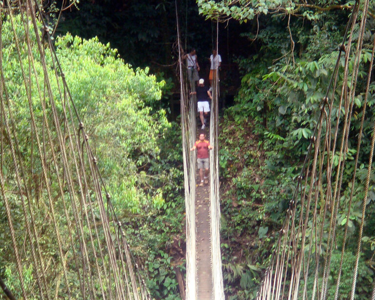 People crossing a bridge in the middle of lush greenery.