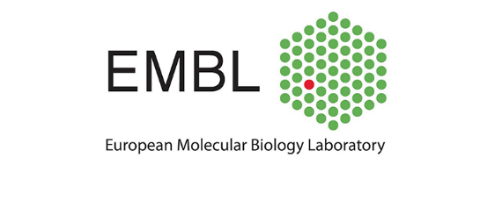 C:\Users\cbrun\Documents\Cryo EM Symposium 6-7 July\CryoEM Symposium-LOGOS\EMBL-logo.png