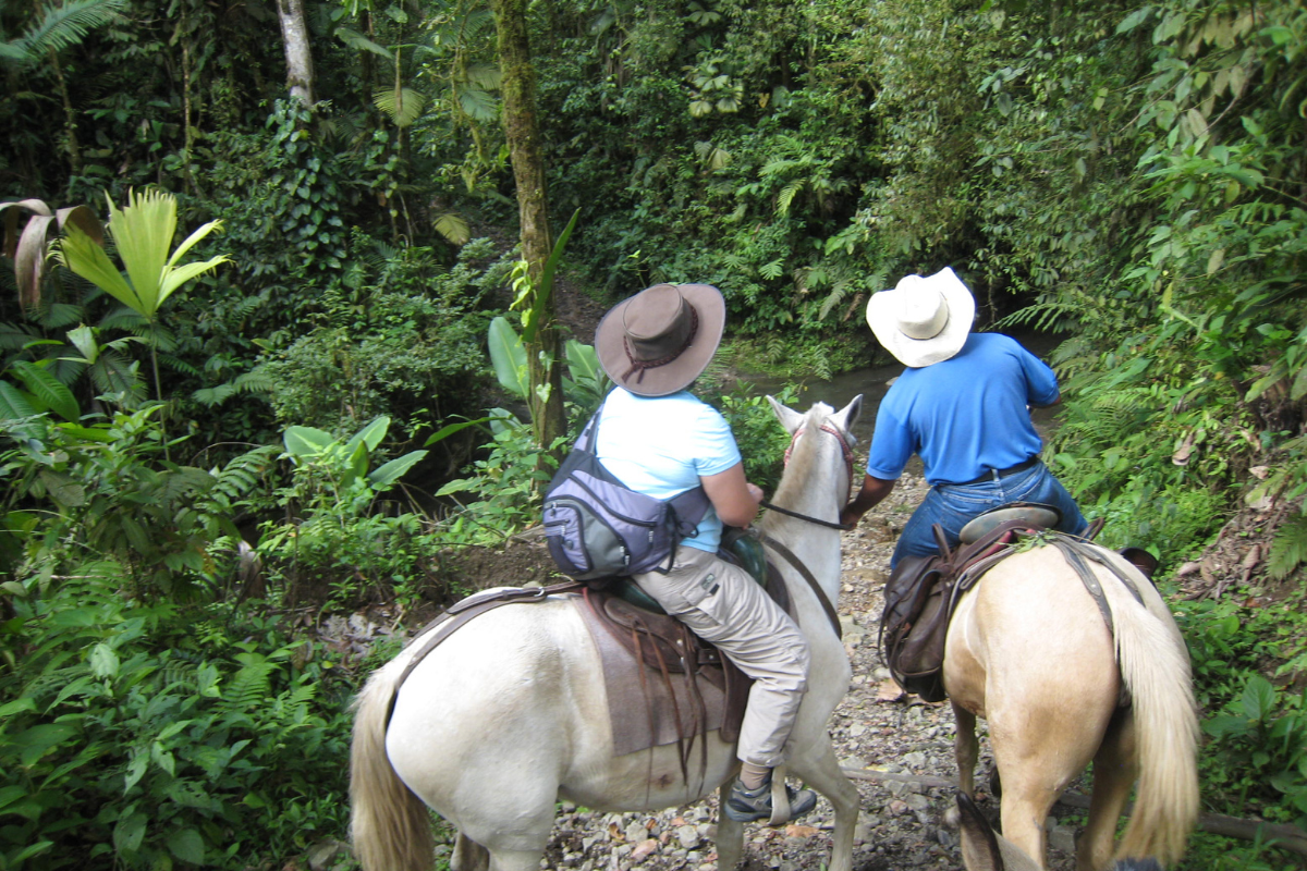 2 men horseback riding in  bejuco rainforests