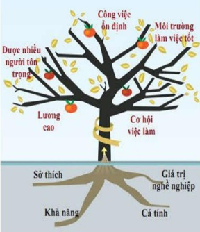 Lí thuyết cây nghề nghiệp.olm