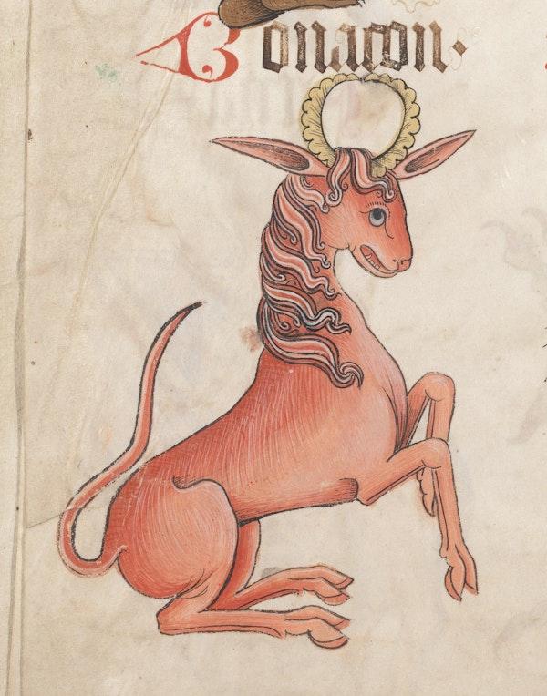 A close-up of a drawing of a goat

Description automatically generated