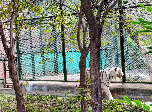 National Zoo and Aquarium