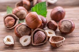 Hazelnuts: Reasons To Add Crunch To ...