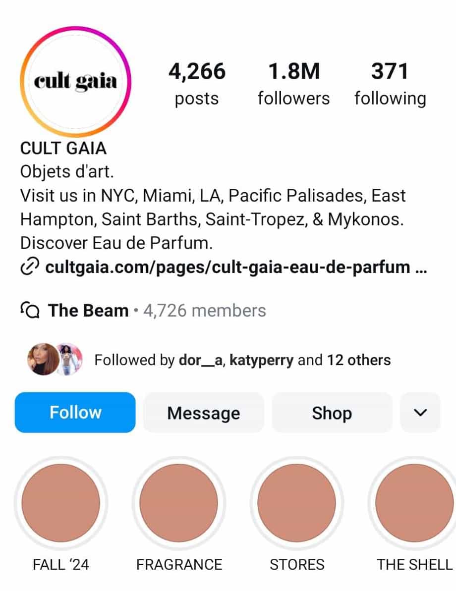 The Top Online Clothing Boutiques from Instagram - Cult Gaia