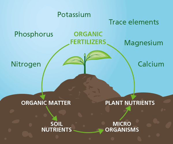 Organic Plant Nutrients