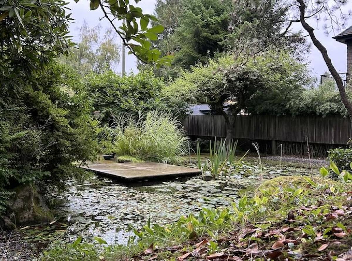 A photograph of a lush garden and water feature