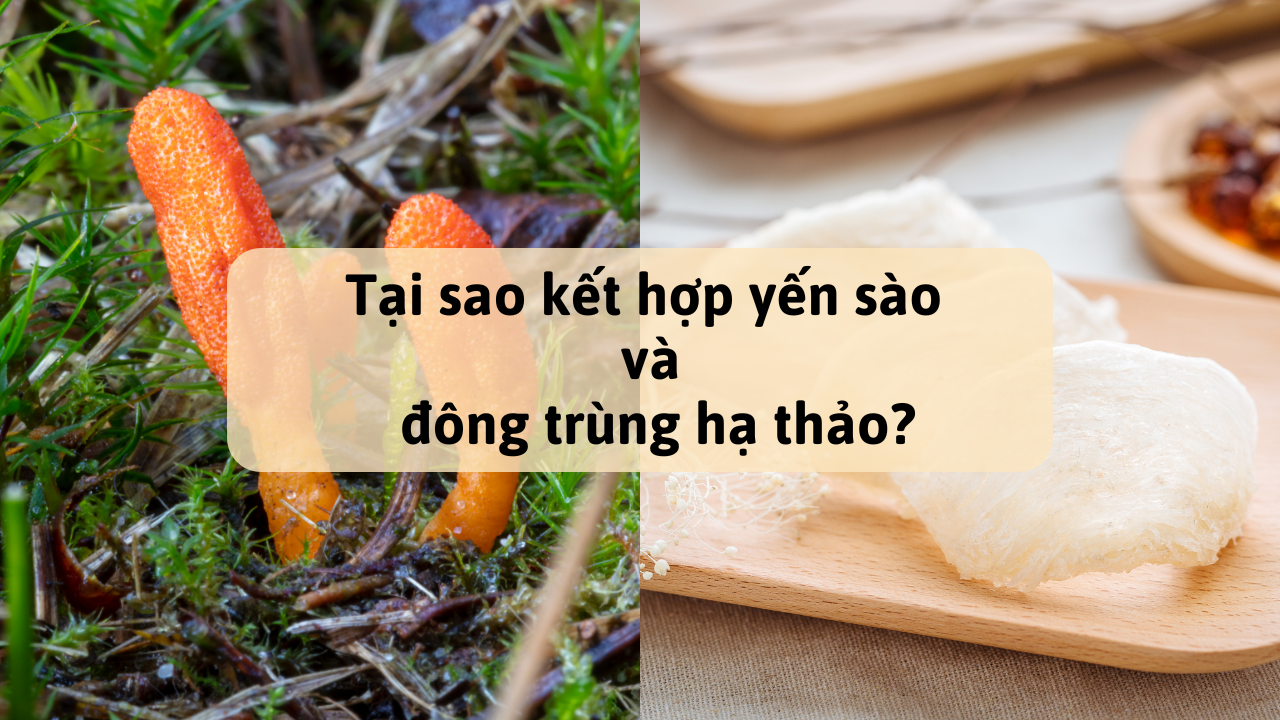 Đông trùng hạ thảo thiên phúc